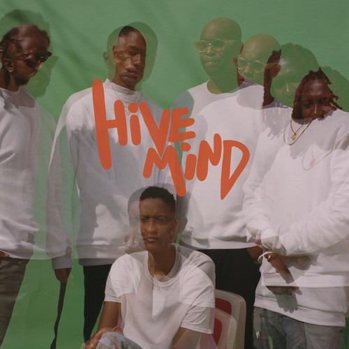 Hive Mind - Vinile LP di Internet