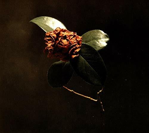 Young Sick Camellia - CD Audio di St. Paul and the Broken Bones