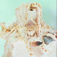 In Ribbons (Deluxe Edition)
