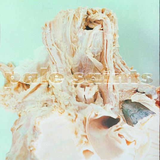 In Ribbons - Vinile LP di Pale Saints