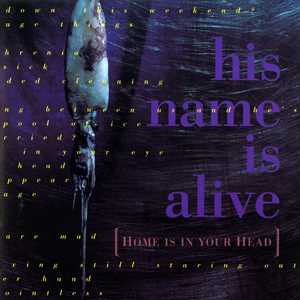 Vinile Home Is In Your Head His Name Is Alive