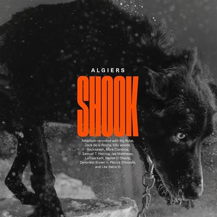 Shook - Vinile LP di Algiers