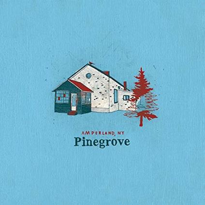 Amperland, NY - CD Audio di Pinegrove