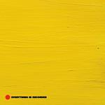 Everything Is Recorded by Rich (Coloured Vinyl)