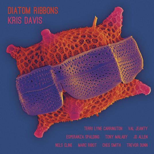 Diatom Ribbons - CD Audio di Kris Davis