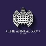 Ministry Of Sound: The Annual XXV