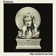Where the Gloom Becomes Sound (Mediabook)