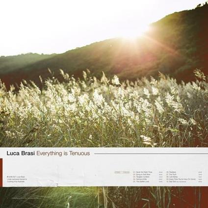 Everything Is Tenuous - CD Audio di Luca Brasi