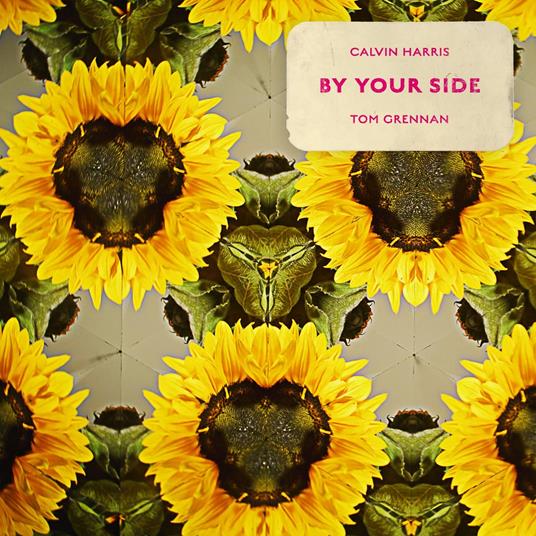 By Your Side - Vinile LP di Calvin Harris