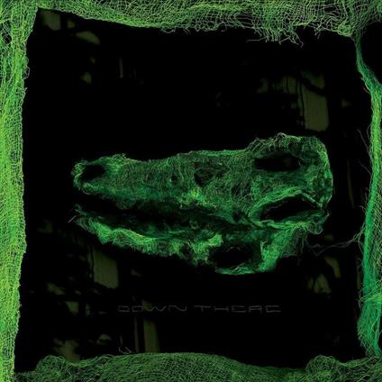 Down There - Vinile LP di Avey Tare