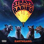 Strays With Rabies