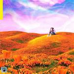 California Poppy 1   2
