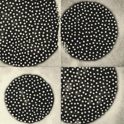 Resting Forms - CD Audio di K. Leimer