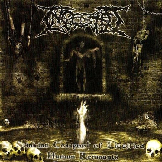 Stinking Cesspool of Liquified Human Remnants - Vinile LP di Ingested