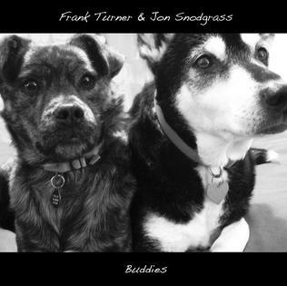 Buddies II. Still Buddies (Silver Coloured Vinyl) - Vinile LP di Frank Turner