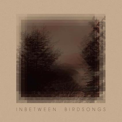 Inbetween Birdsongs - CD Audio di Matthias Gusset