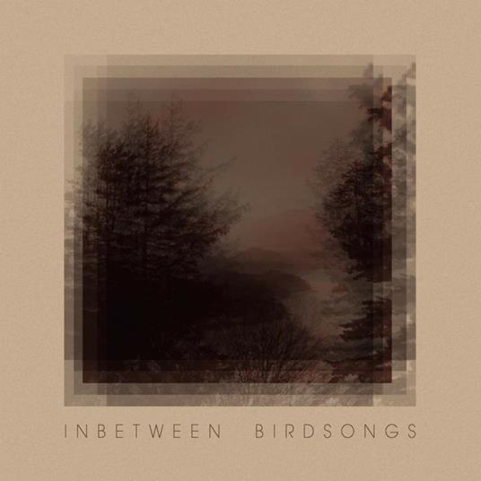 Inbetween Birdsongs - CD Audio di Matthias Gusset