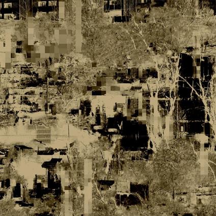 Human Form - Vinile LP di Endlings