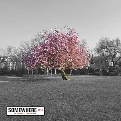 Somewhere - CD Audio di Confucius MC
