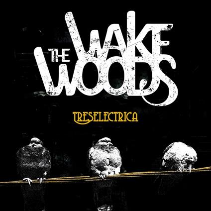 Treselectrica - CD Audio di Wake Woods