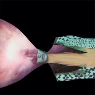 Painted Shield 2 - Vinile LP di Painted Shield