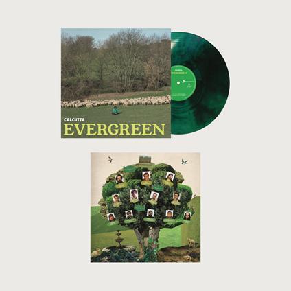 Evergreen (180 gr. Marble Green/Black-Edizione numerata) - Vinile LP di Calcutta