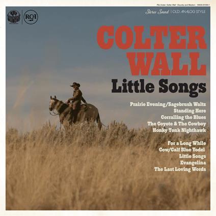 Little Songs - Vinile LP di Colter Wall