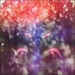 Fair Youth (10th Anniversary Remix & Remaster)