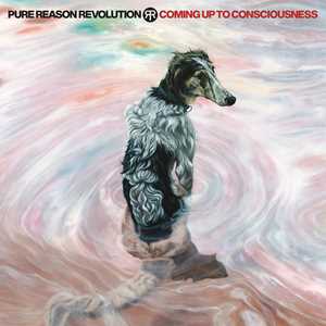 CD Coming Up to Consciousness (CD + DVD) Pure Reason Revolution