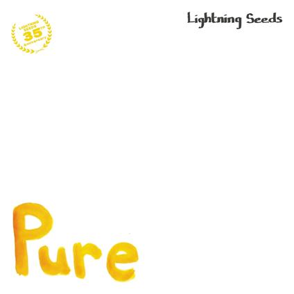 Pure-All I Want - Vinile LP di Lightning Seeds