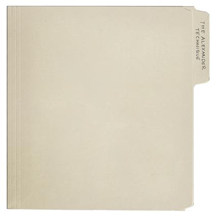 The Alexander Technique - Vinile LP di Rex Orange County