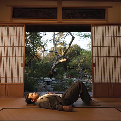 The Alexander Technique - CD Audio di Rex Orange County