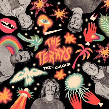 True Colour - CD Audio di Terrys