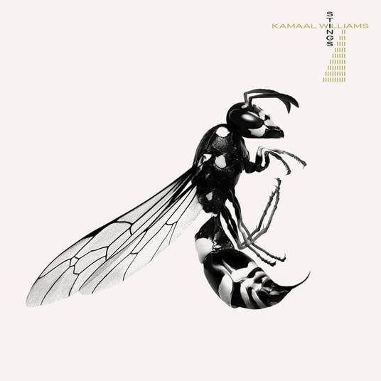 Stings - Vinile LP di Kamaal Williams