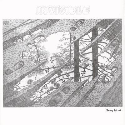 Invisible - Vinile LP di Invisible