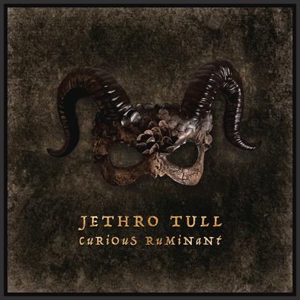 Curious Ruminant - Vinile LP di Jethro Tull