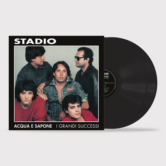 Acqua e sapone. I grandi successi - Vinile LP di Stadio