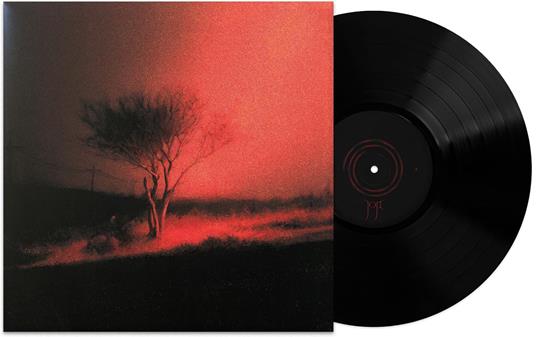 Piss In The Wind - Vinile LP di Joji