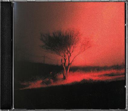 Piss In The Wind - CD Audio di Joji