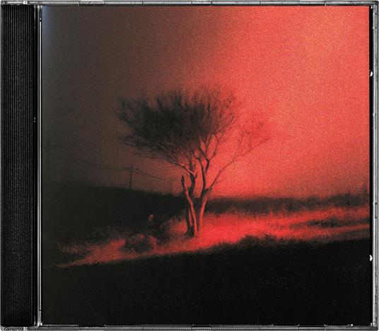 Piss In The Wind - CD Audio di Joji