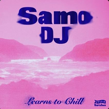 Learns To Chill - Vinile LP di Samo DJ