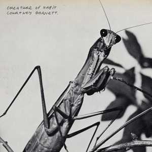 CD Creature Of Habit Courtney Barnett