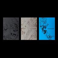 The Sin. Vanish (Eu Retail)