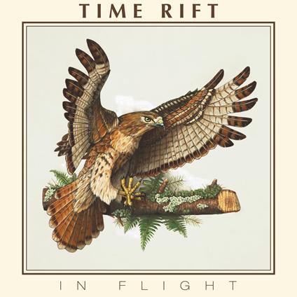 In Flight - Vinile LP di Time Rift