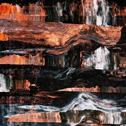 Corpse Lights - Vinile LP di Barrens