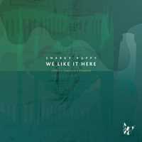 CD We Like It Here Snarky Puppy
