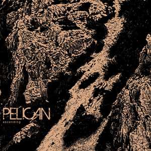 Vinile Ascending Pelican