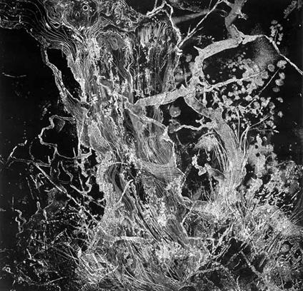 Monolith - Vinile LP di Bruit