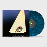 Mio fratello e figlio unico