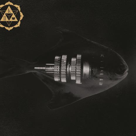 Astronotus (2 LP 180 gr. Gold - Numerato) - Vinile LP di Karma - 2